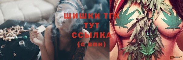 PSILOCYBIN Армянск