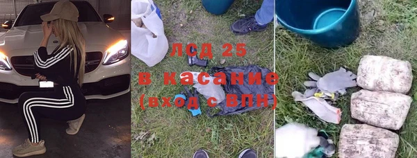 сатива Арсеньев