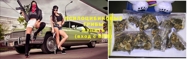 PSILOCYBIN Армянск