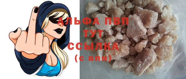 сатива Арсеньев