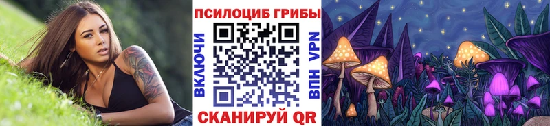 как найти наркотики  Лакинск  Галлюциногенные грибы Cubensis 